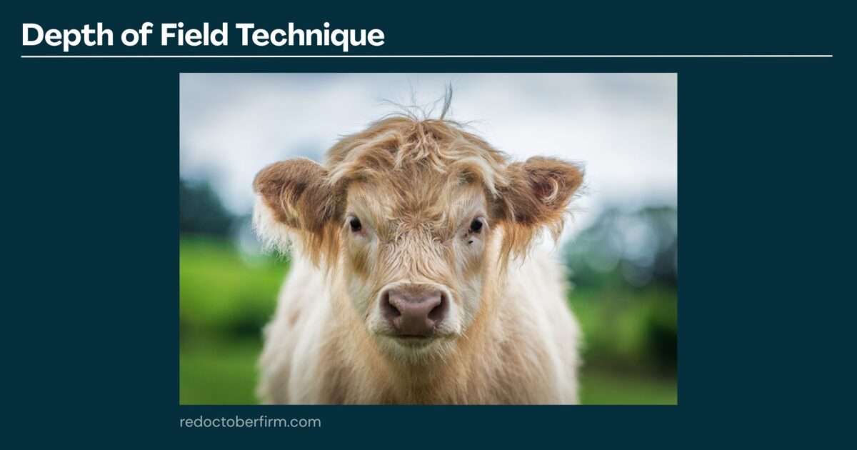 A Close-Up Of A Light Brown Cow With A Blurred Green Background, Demonstrating A Depth Of Field Photography Technique.