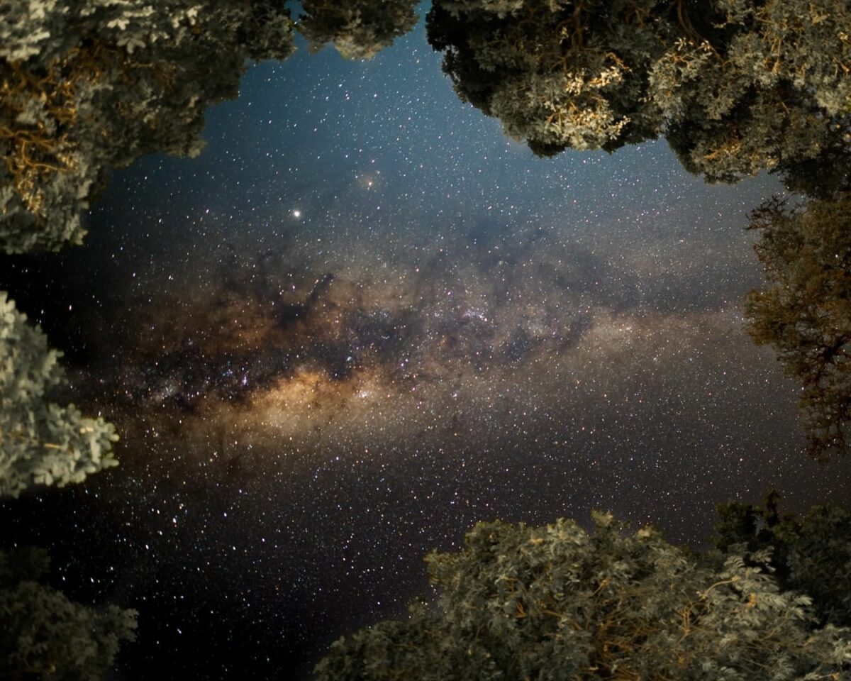 The Milky Is Seen Through A Hole In The Trees As The Shutter Speed Captures Its Ethereal Beauty.