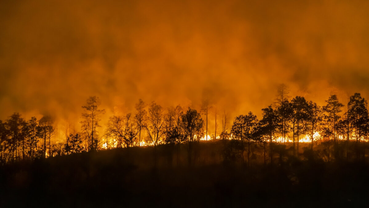 A Forest Fire Engulfs A Hill At Night, Making It Crucial To Store And Backup Photos.