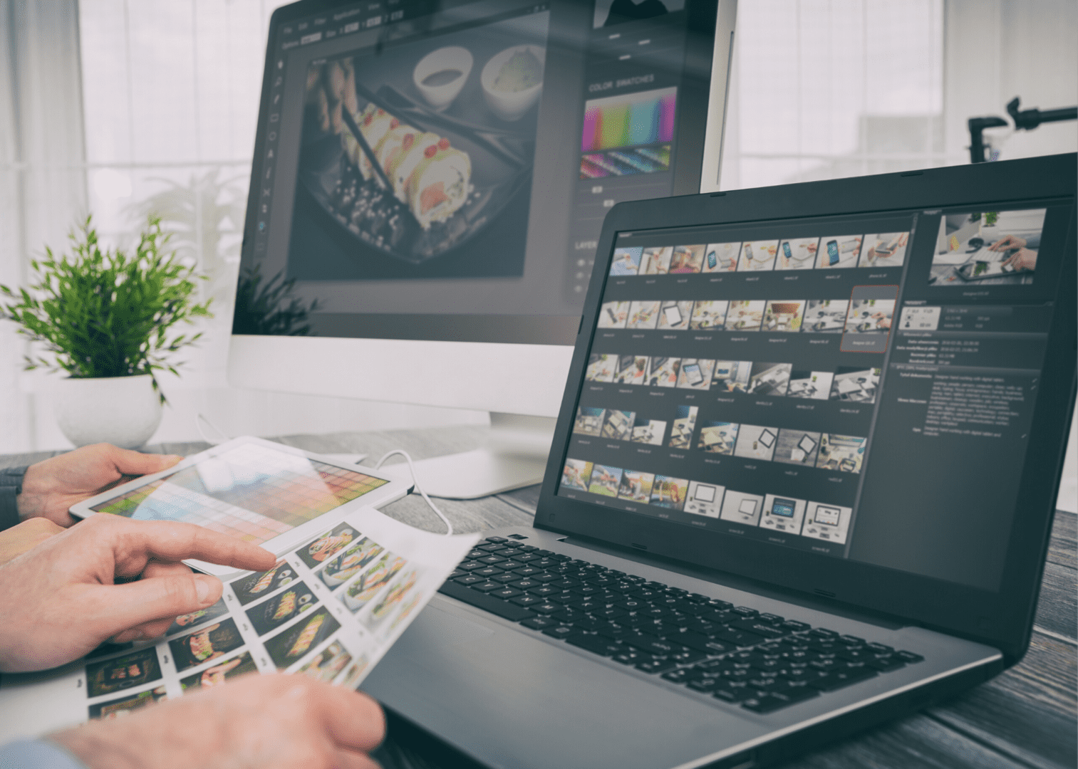 Professional Photographer